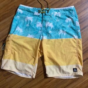 Reef Men's Palm Tree Printed Surfing Boardshorts/Swim Trunks Size Medium